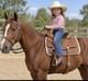 Double T Alpine Crest Roper Saddle 13 Western Horse Full Qh Bars Tooled Leather