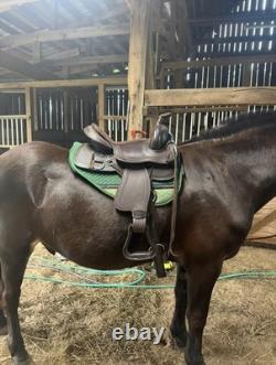EDIX Santos Western saddle with EDIX saddle Pad