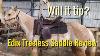Edix Treeless Western Saddle Review With My Horse Shiney