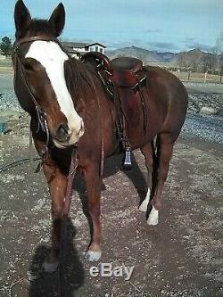 Endurance / Western 15 in Sharon Saare light 22 lbs. Excellent condition