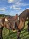Handcrafted Wade Style Western Saddle By Frontier Equestrian Jasper, Mo