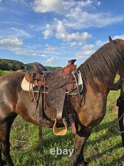 Handcrafted Wade Style Western Saddle By Frontier Equestrian Jasper, MO Handcrafted Wade Style Western Saddle By Frontier Equestrian Jasper, MO