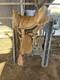 Handmade 13 Light Tan Leather Cavalry Western Saddle Excellent Condition