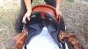 Harmony Western Dressage Saddle