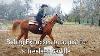 Hilason Treeless Western Saddle Trial Riding Exercises To Establish A Better Seat