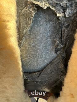 Horse Tack 15 1/2 Custom Mike Wick Western Saddle