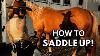 How To Saddle Up A Horse Important Tips Step By Step