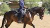 How To Sit In The Saddle And Move With Your Horse