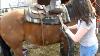 How To Western Saddle Your Horse