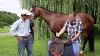 How To Do A Proper Saddle Fitting For You And Your Horse