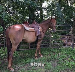 John M. Fallis Genuine Balanced Ride Western Saddle 15in
