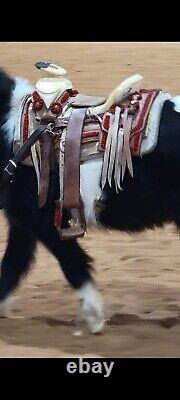 Kids Youth Charro Saddle 11 Western Vaquero Montura Red Ranch Mini Horse Pony