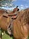 Kids Saddle Used Western Horse
