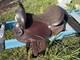 King Series Western 15.5 In Saddle Brown Trail Horse Tack