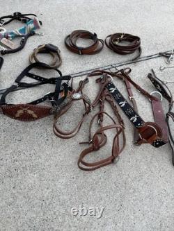Massive Lot Of Horse Gear- New And Used- See Description