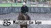 Mastering The Lope Everyday Horsemanship