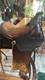 N Porter Western Saddle, 13 Seat, 7 Gullet, Excellent Condition, Hand Made