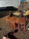 Nrs Roping Saddle 15