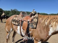 NRS saddle 13inch