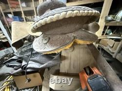 New Horse Saddle Barn Find Sitting In 20+ Years