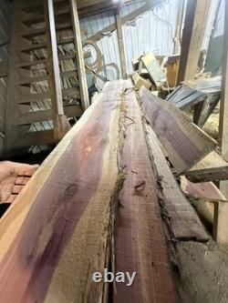 New Horse Saddle Barn Find Sitting In 20+ Years