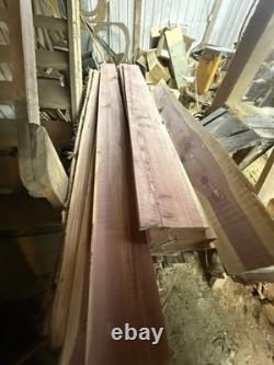 New Horse Saddle Barn Find Sitting In 20+ Years