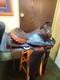 Old Roper Saddle
