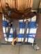Parelli Fusion Western Saddle. Custom With Oak Stirrups, Bucking Rolls, 17 Seat