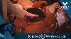 Reinsman Billings Roping Saddle Chestnut Roughout Wesa 2019