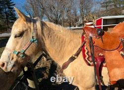 Roping & Ranch Work Saddle Wade Tree A Fork, Genuine Leather