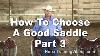 Saddle Video Series Part 3 Western Saddle Fitting For Horse And Rider