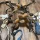 Sawbuck Pack Horse Mule Saddle Vintage Wooden