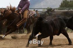 Sean Ryon 17 Buster Welch Cutting Saddle Cut Better
