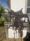 Selling My Western Tooled Leather Saddle Well Kept And Taken Care Of
