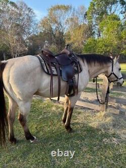 Sheridan Ranch / Trail Saddle Y 15.5 seat. Chocolate FQHB