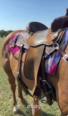 Sherry Chervi 14.5 inch seat Martin saddle. All around, great condition