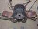 Tex Tan By Yoakum Hereford Brand Western Leather Saddle Size 13