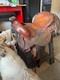 Texas Tan Hereford Brand Saddle 15 Wade Tree Hereford Original Yoakum Texas