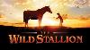 The Wild Stallion 2009 Full Movie Connie Sellecca Fred Ward Miranda Cosgrove