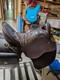 Tucker Pleasure/trail Saddle Brown Leather Horse Saddle 17 Inch