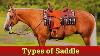 Types Of Saddle