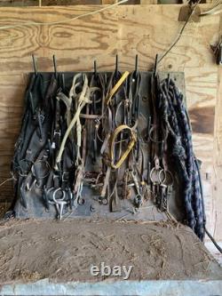 Used horse saddles for sale