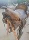 Vintage 15 Brown Leather Western Horse Saddle Roping Saddle # 3920