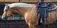 Vintage 60's 15 Seat Parade Saddle With Diamond Spots Bear Valley/colorado