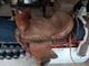 Vintage Bonanza Big Horn Leather Western Saddle 14 Seat Nice Tooling Repaired