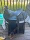 Vintage De Walker Full Floral Visalia Saddle