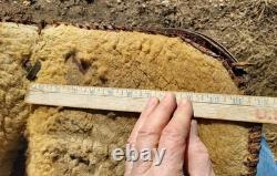 Vintage Fred Mueller Western Saddle Rounded Skirt 14 Seat