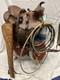 Vintage Leather Saddle With Trail Bag Gun Sleeve Rope & Western Blanket Child Size