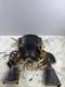 Vintage Leather Western Horse Saddle