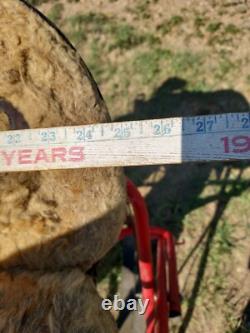 Vintage R. T Frazier Pueblo Colo. High Back Buckaroo Western Saddle 14½ seat